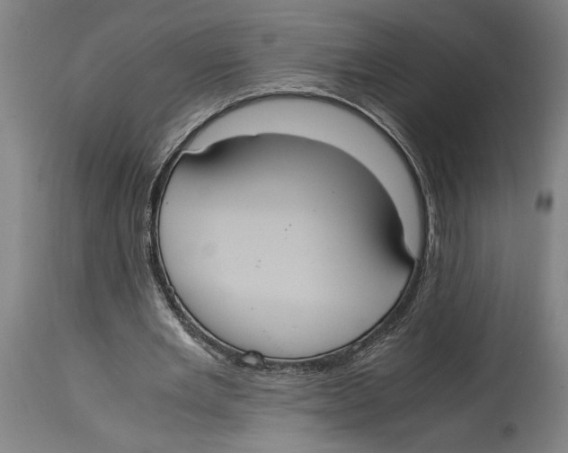 X0000114700485200911181320