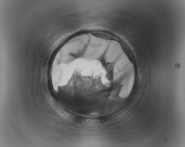 X0000114700487200911181320