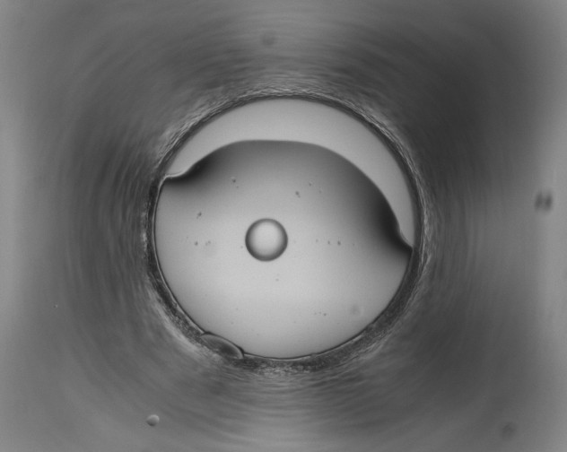 X0000114700489200911181320