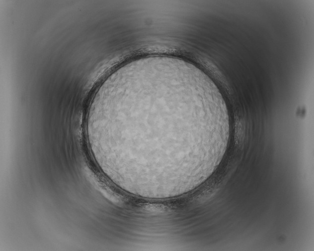 X0000114700490200911181320