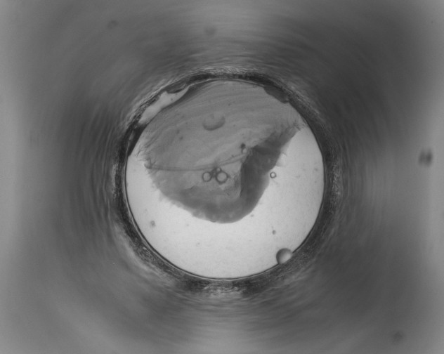 X0000114700491200911181320