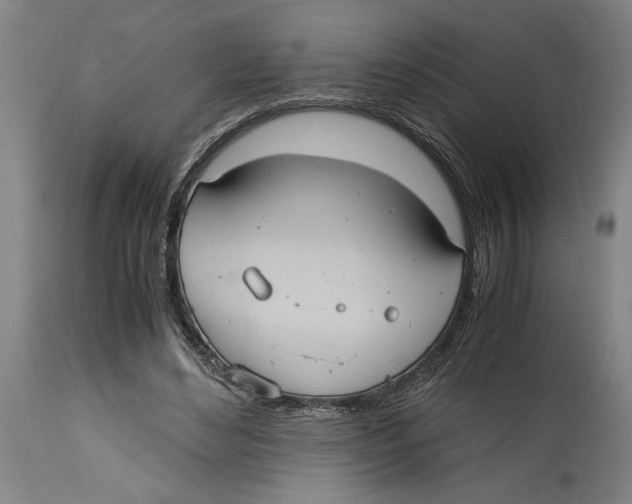 X0000114700492200911181320