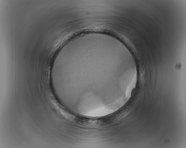 X0000114700493200911181320