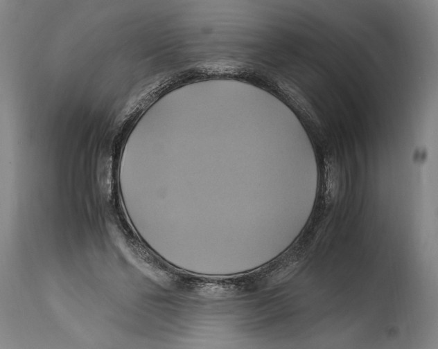 X0000114700494200911181320