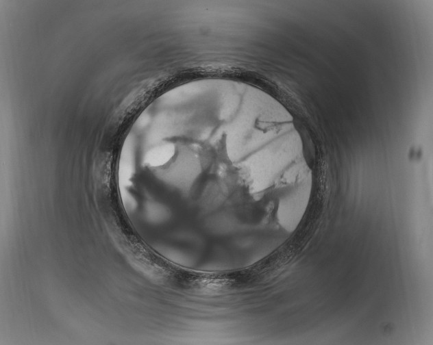 X0000114700495200911181320