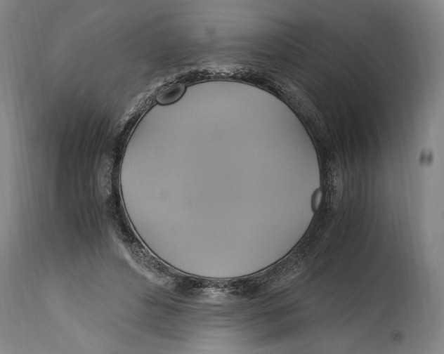 X0000114700496200911181320