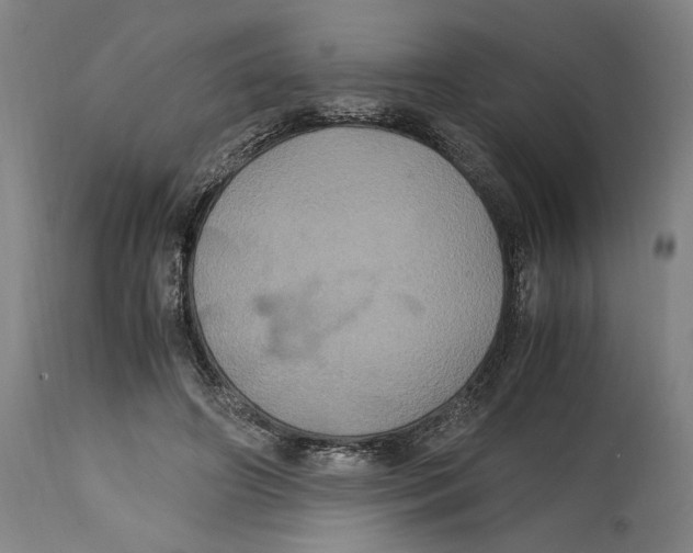 X0000114700498200911181320