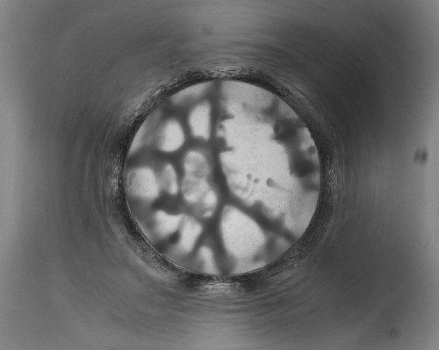 X0000114700499200911181320