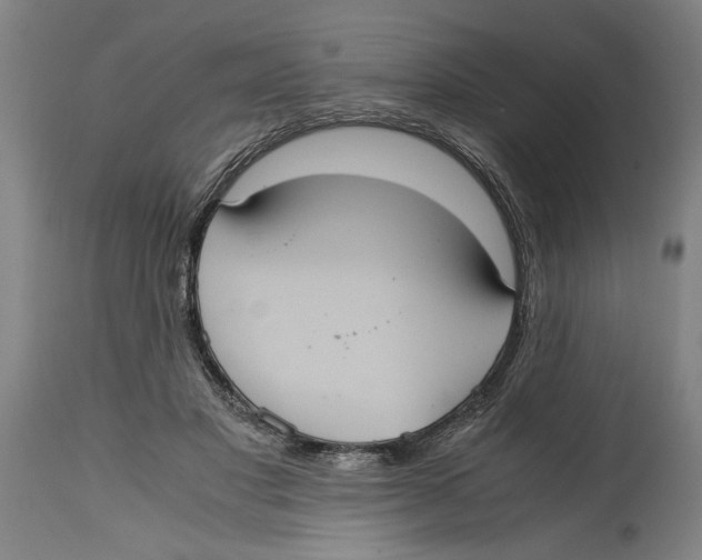 X0000114700501200911181320