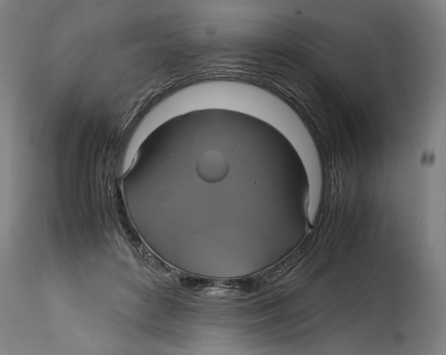 X0000114700504200911181320