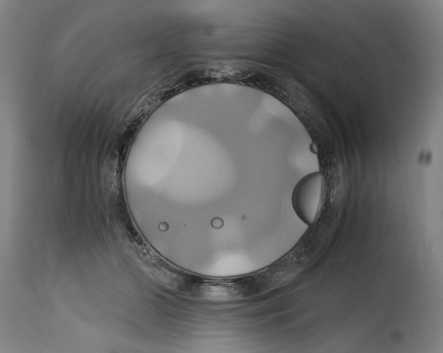 X0000114700510200911181320