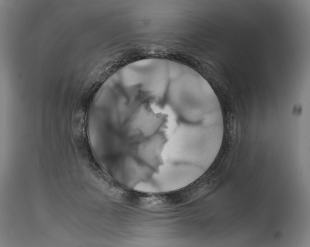 X0000114700511200911181320