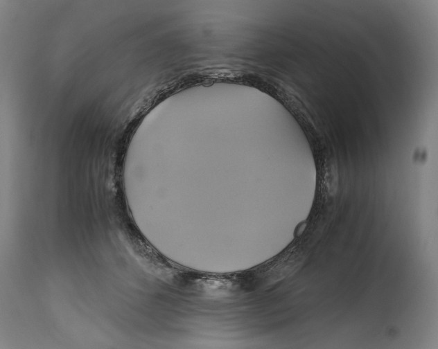 X0000114700512200911181320