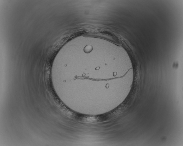 X0000114700513200911181320