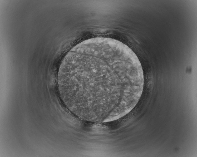 X0000114700515200911181320