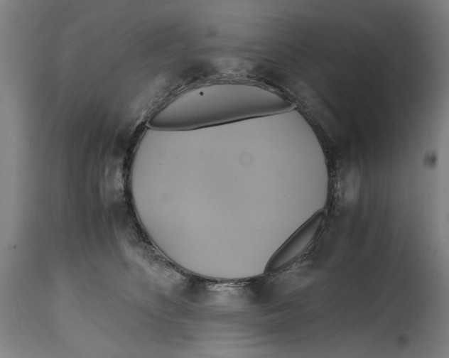 X0000114700516200911181320