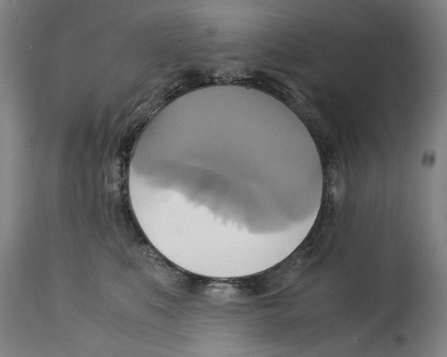 X0000114700519200911181320