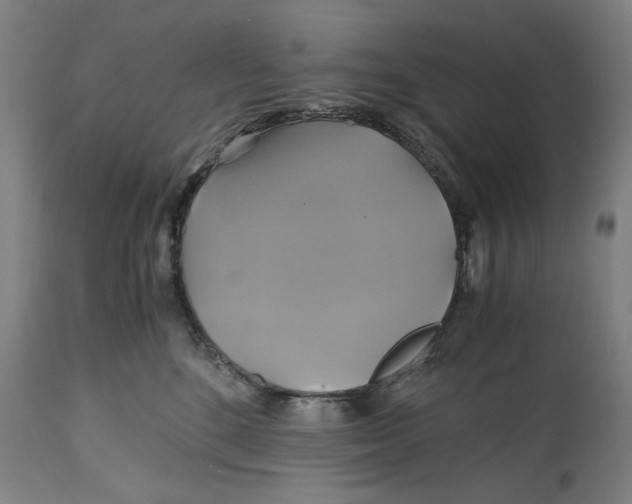 X0000114700520200911181320