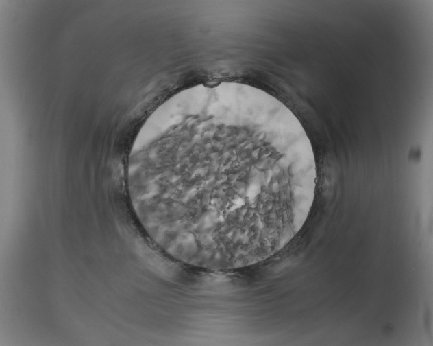 X0000114700523200911181320