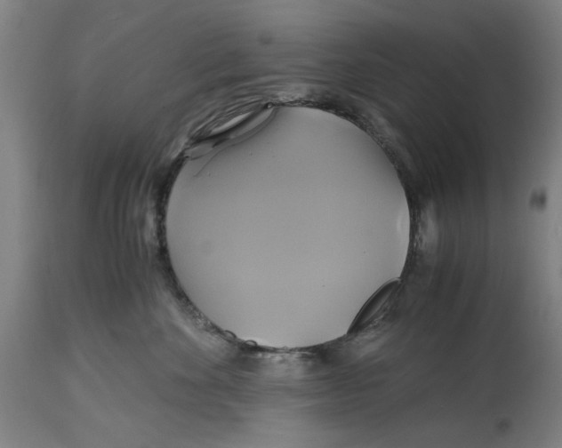 X0000114700524200911181320