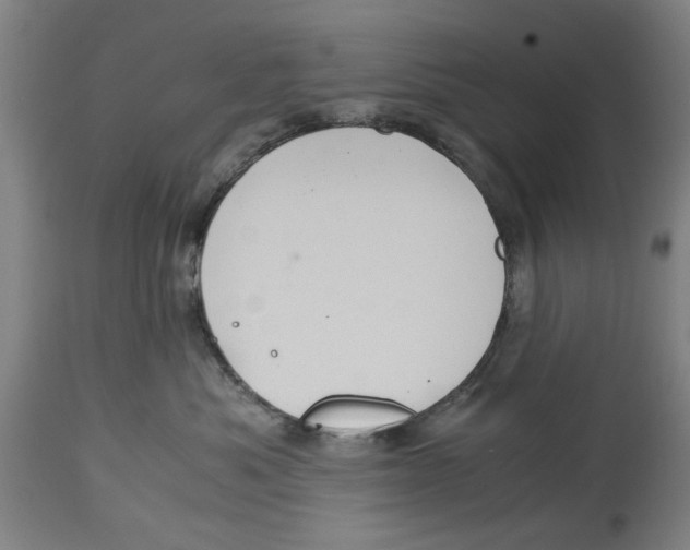 X0000114700525200911181320