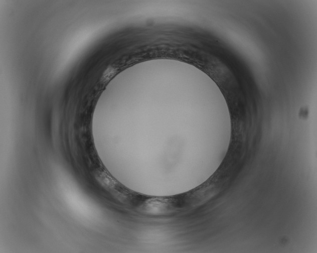 X0000114700526200911181320