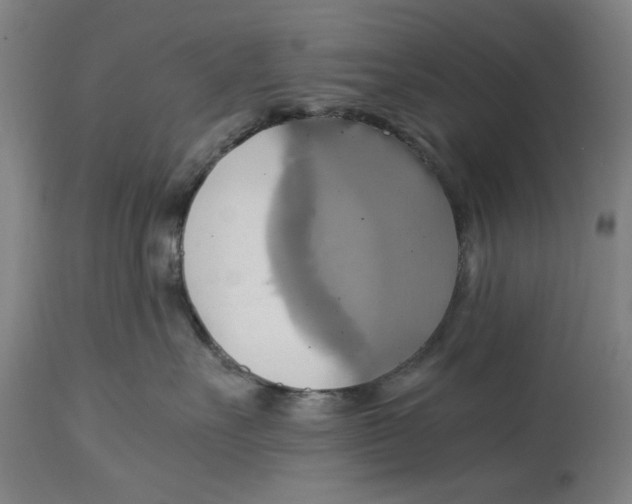 X0000114700527200911181320