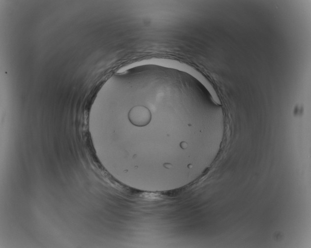 X0000114700528200911181320