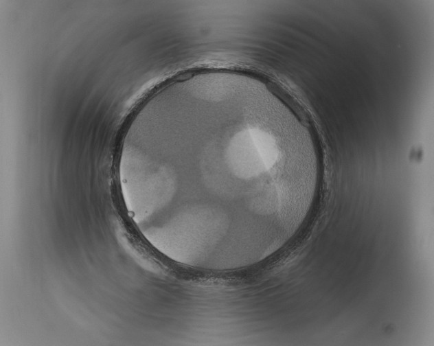 X0000114700530200911181319