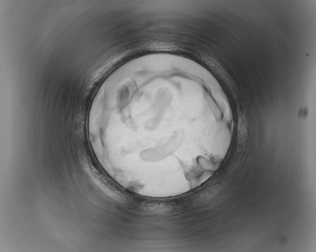 X0000114700533200911181319