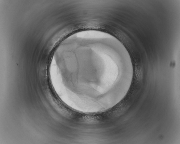 X0000114700534200911181319