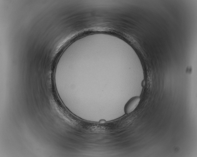 X0000114700535200911181319