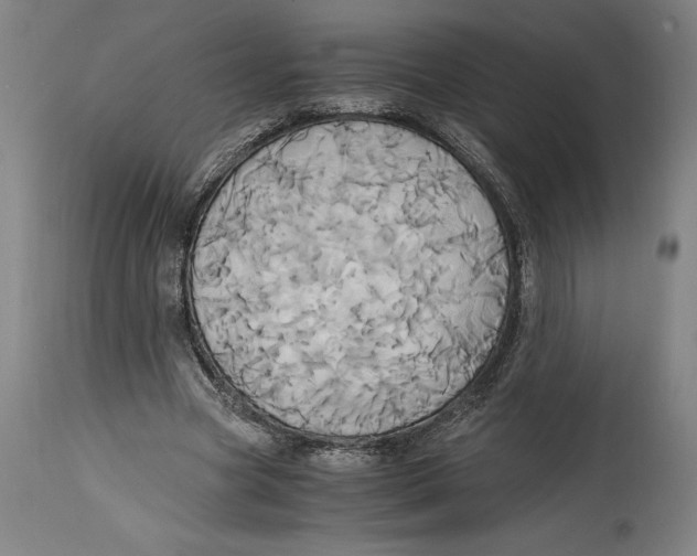 X0000114700537200911181319