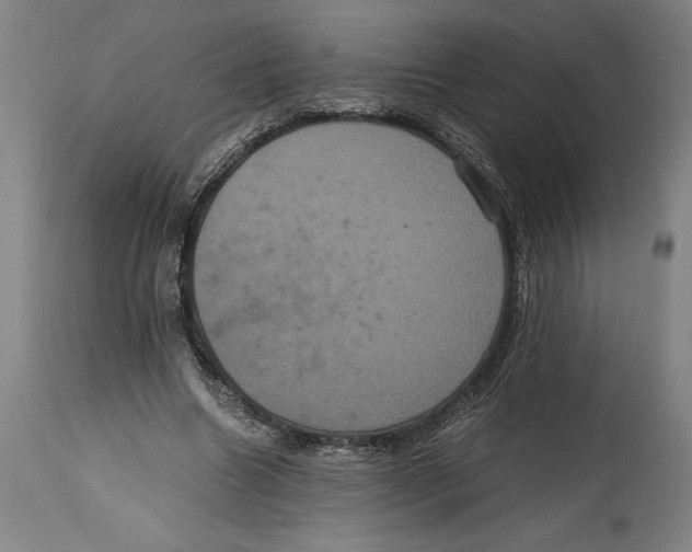 X0000114700538200911181319