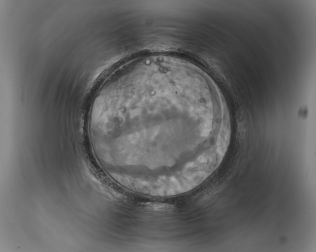 X0000114700539200911181319