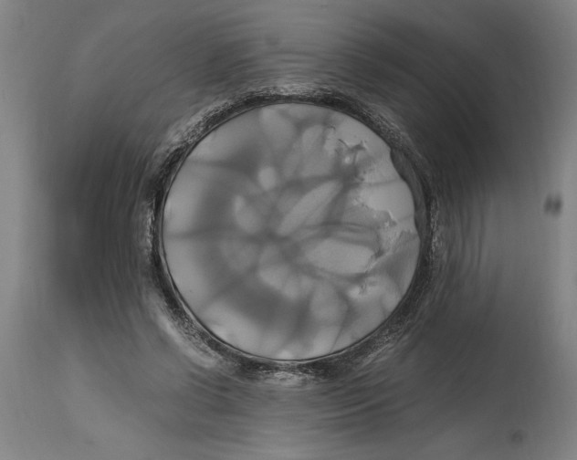 X0000114700542200911181319