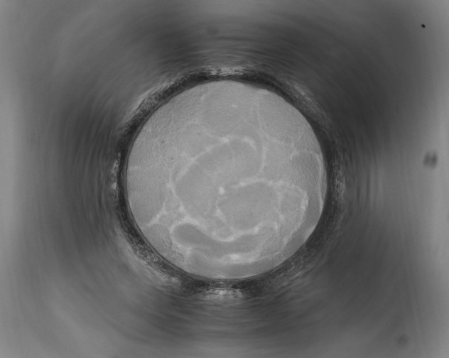 X0000114700543200911181319