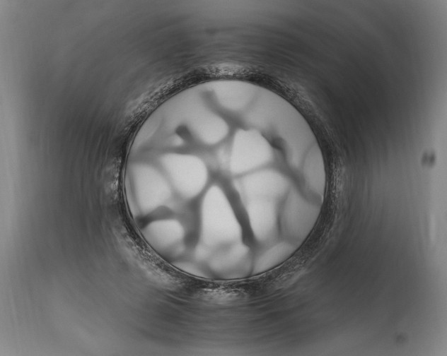 X0000114700545200911181319