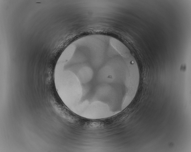 X0000114700546200911181319