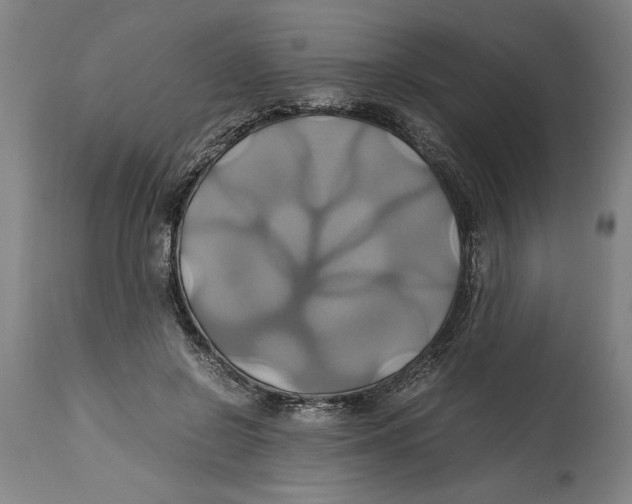 X0000114700550200911181319