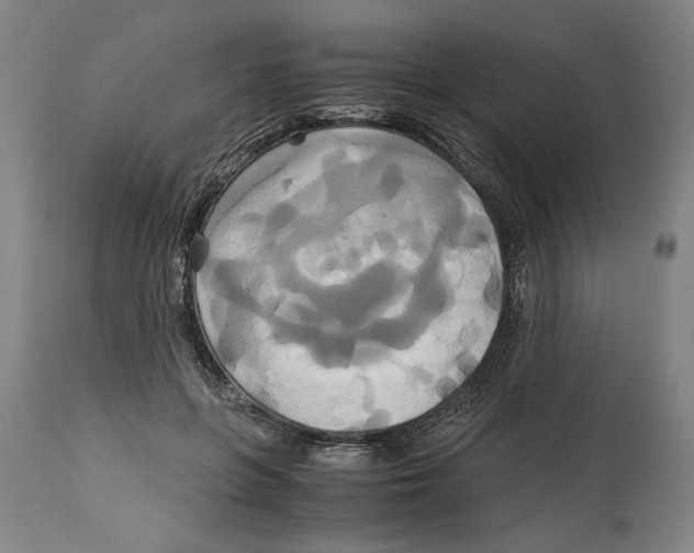 X0000114700551200911181319