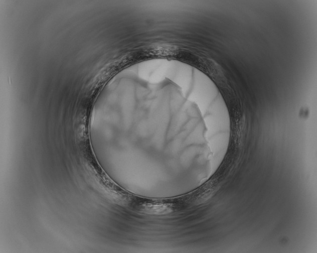 X0000114700553200911181319