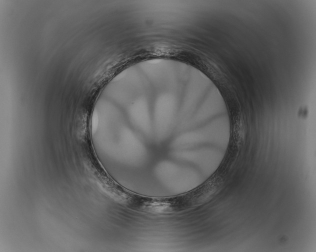 X0000114700554200911181319