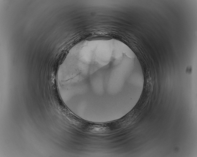 X0000114700555200911181319