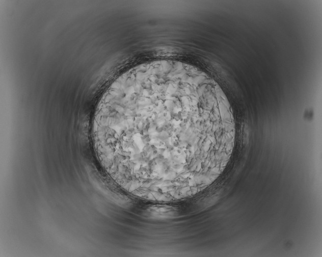 X0000114700557200911181319