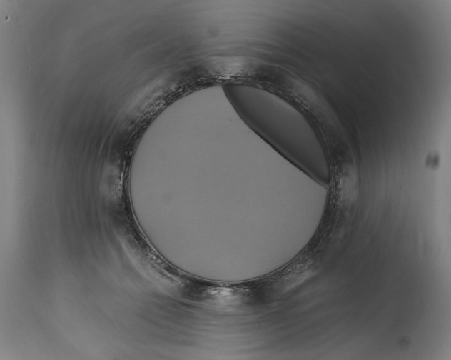 X0000114700558200911181319