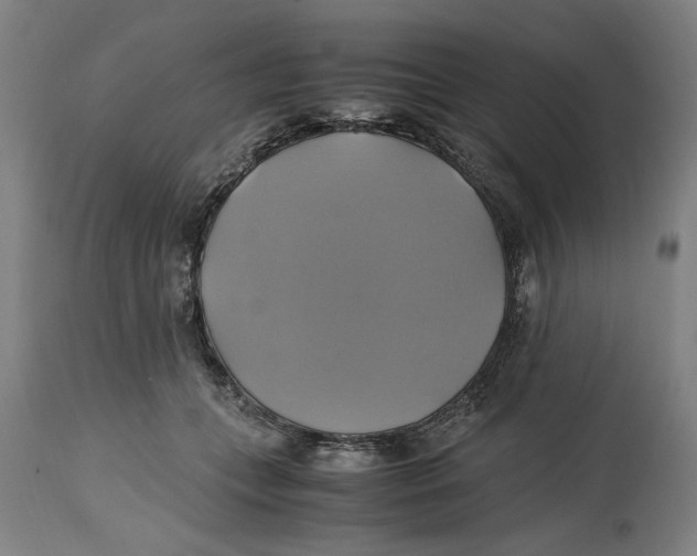 X0000114700559200911181319