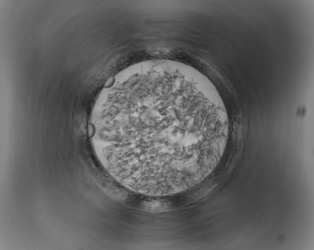 X0000114700561200911181319