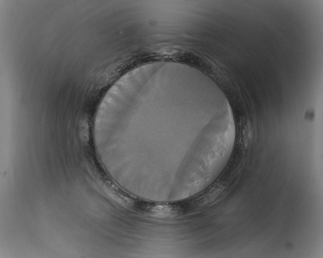 X0000114700562200911181319