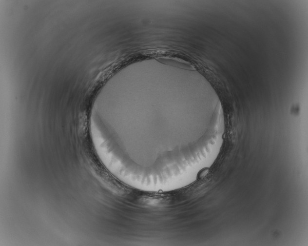 X0000114700563200911181319